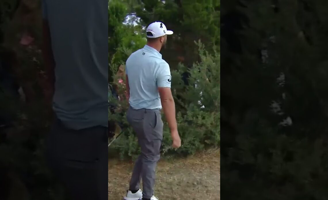 Rahm's recovery shots are incredible! 🤯 #livgolf #shorts