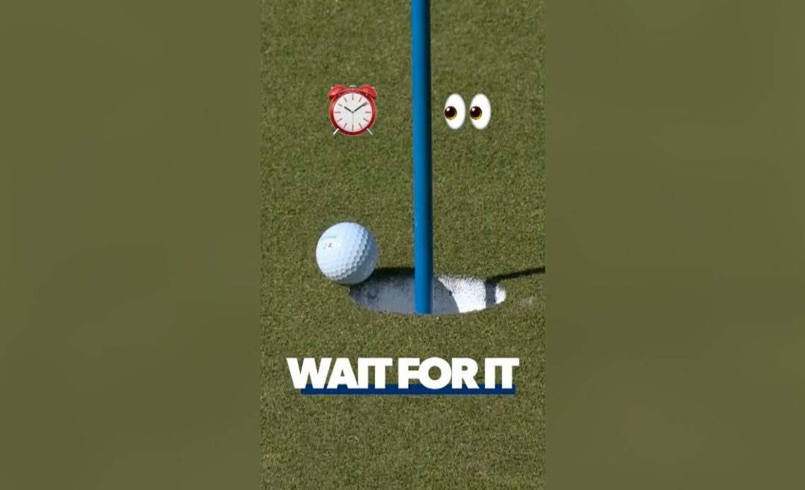 WAIT 'til you see THIS chip-in! ⏰👀