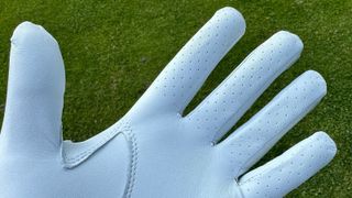 TaylorMade Tour Preferred Flex Golf Glove Review