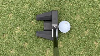 SeeMore Mini Giant HTX Putter at address