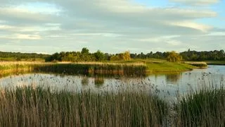 Rockliffe Hall - Hole 5