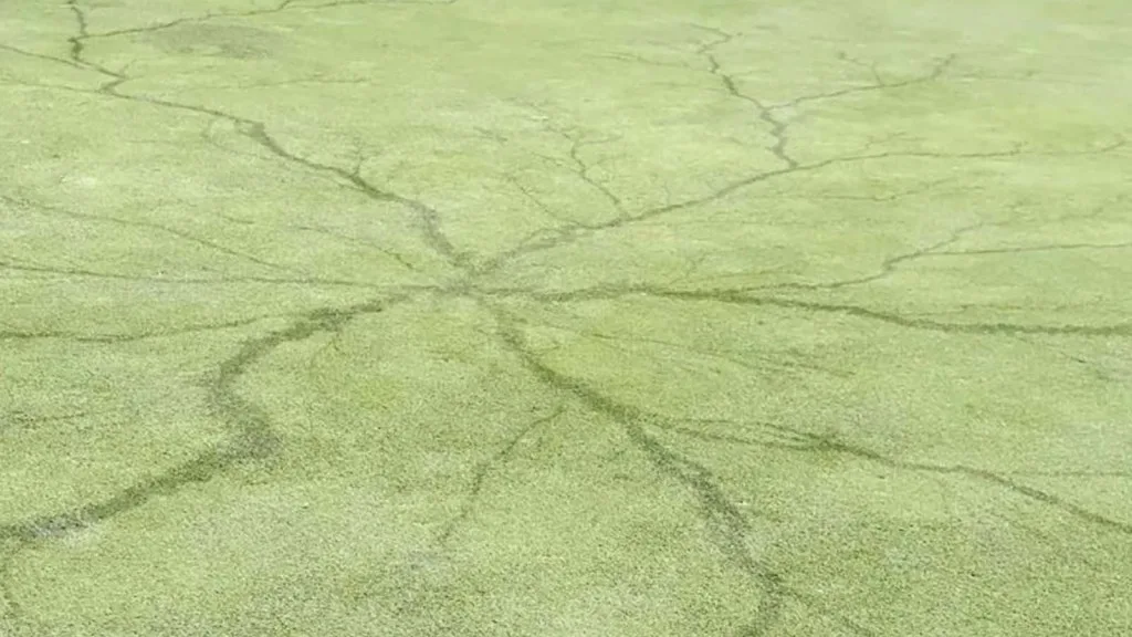 Lightning strike at an Ohio golf course left behind a web-like pattern