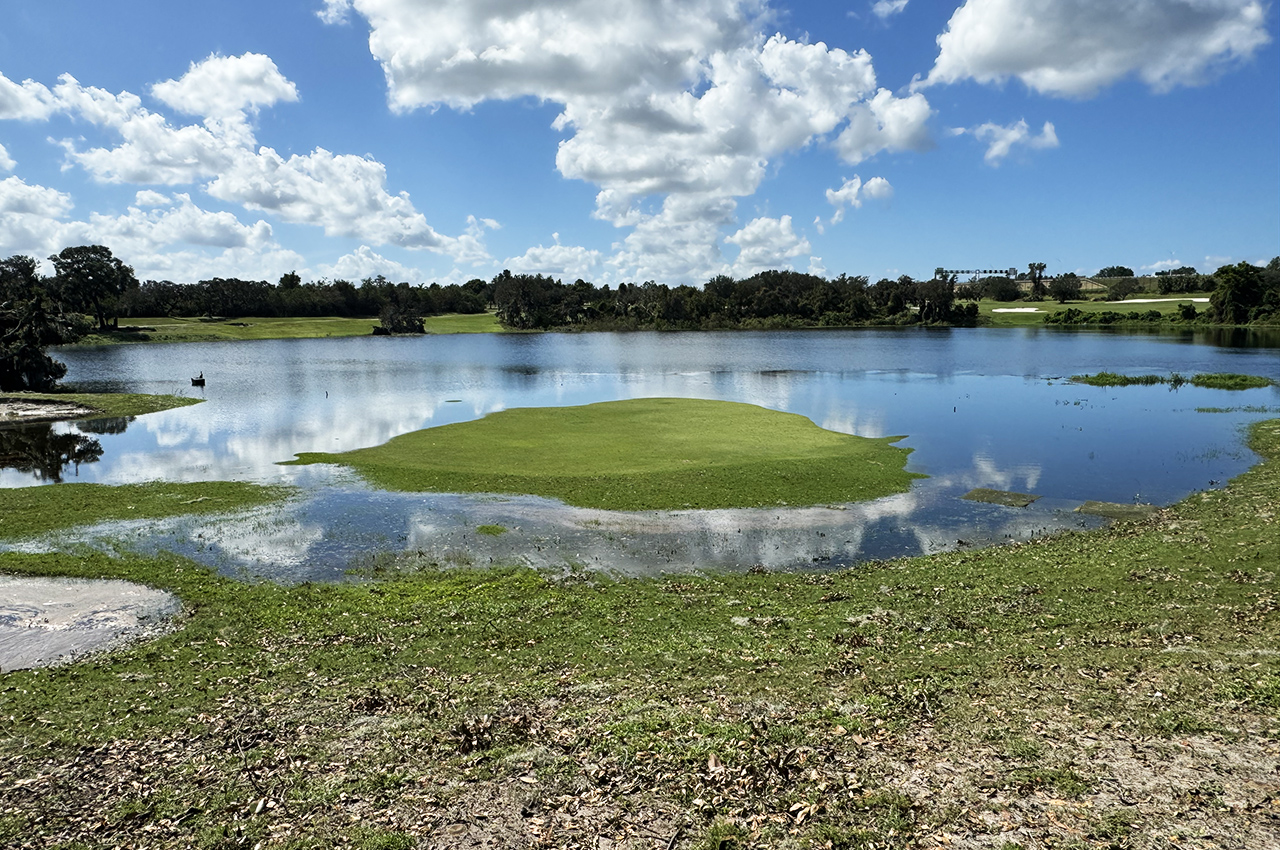 Forest Lake Ocoee flood