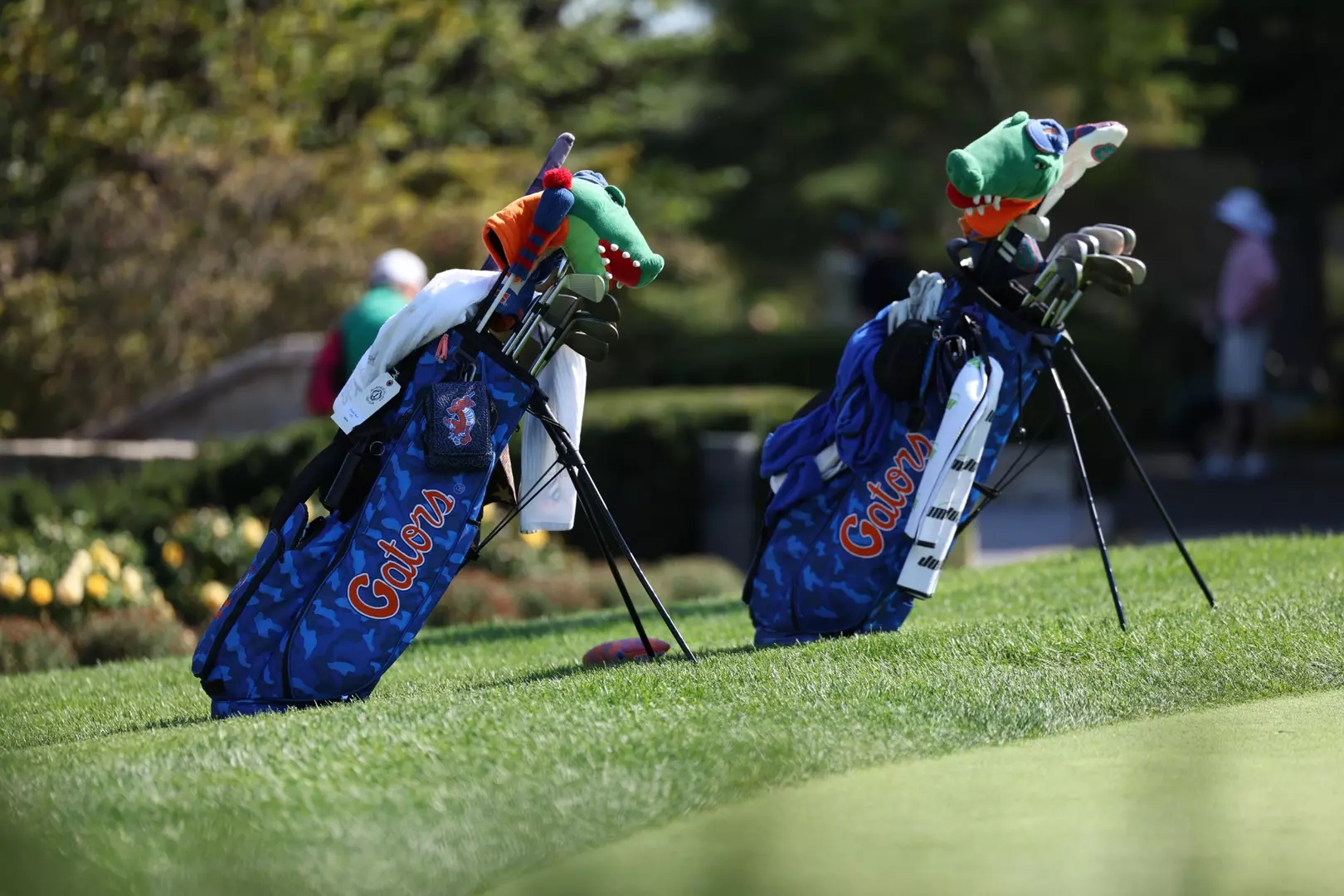 Gators Men’s Golf Signs No. 2 Ranked Class