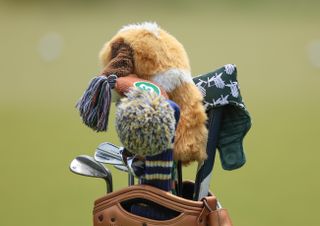 A close-up of Rory McIlroy's bag