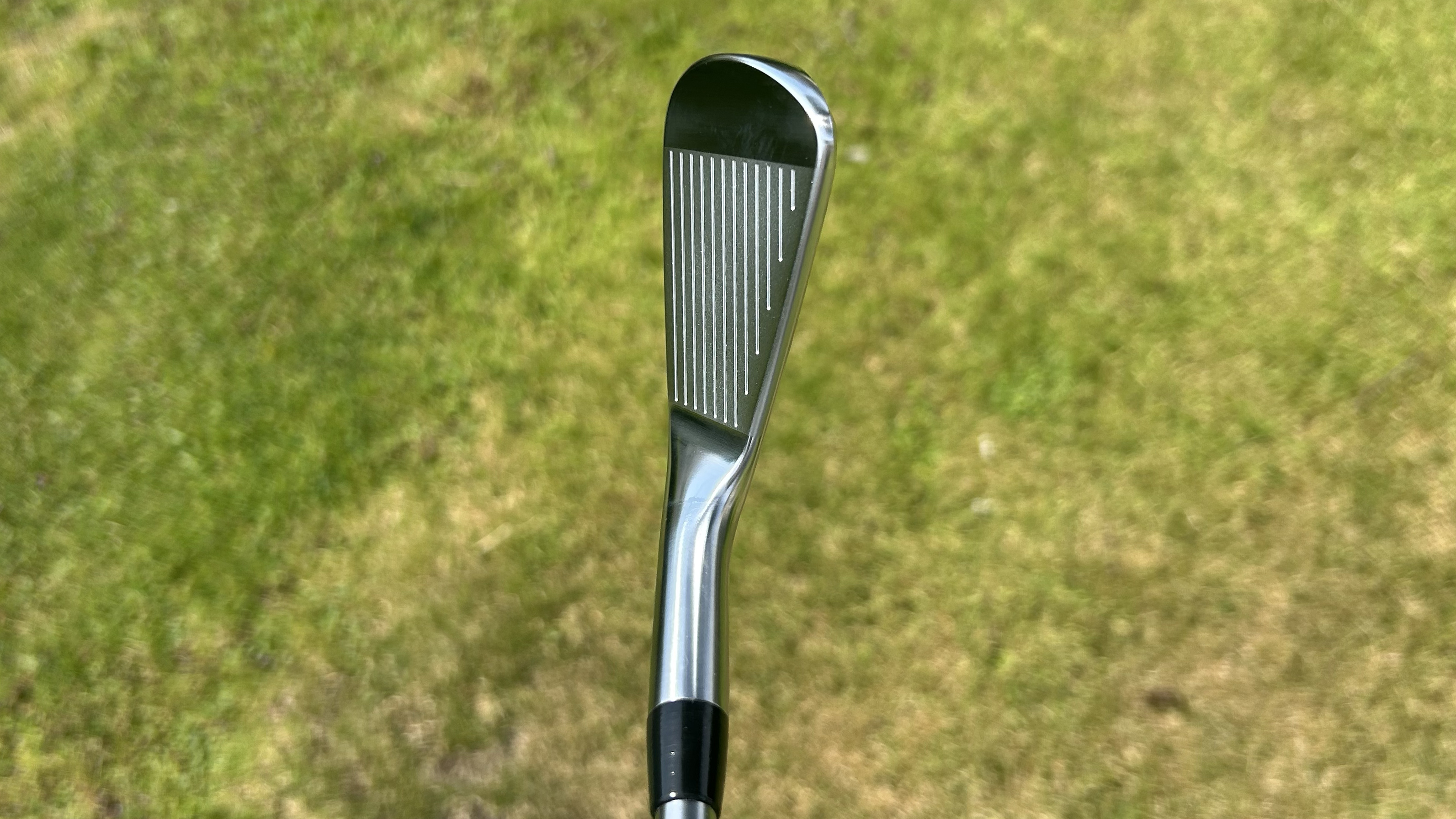 Photo of the Vega SS Irons in the playing position