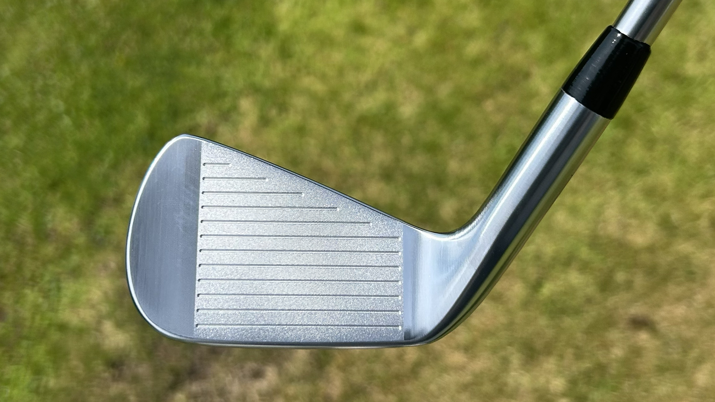 Photo of the Vega SS Irons face