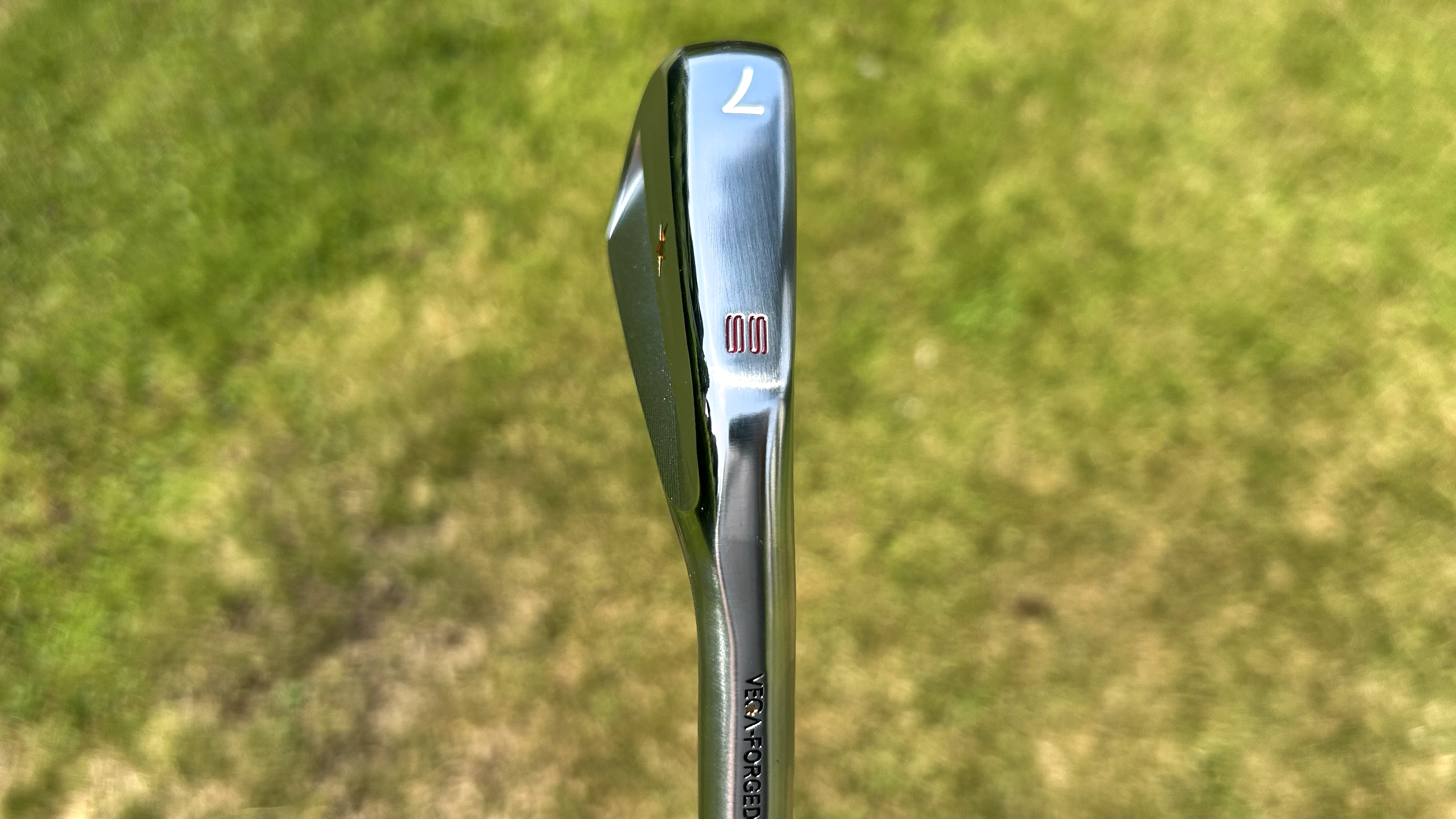 Photo of the Vega SS Irons